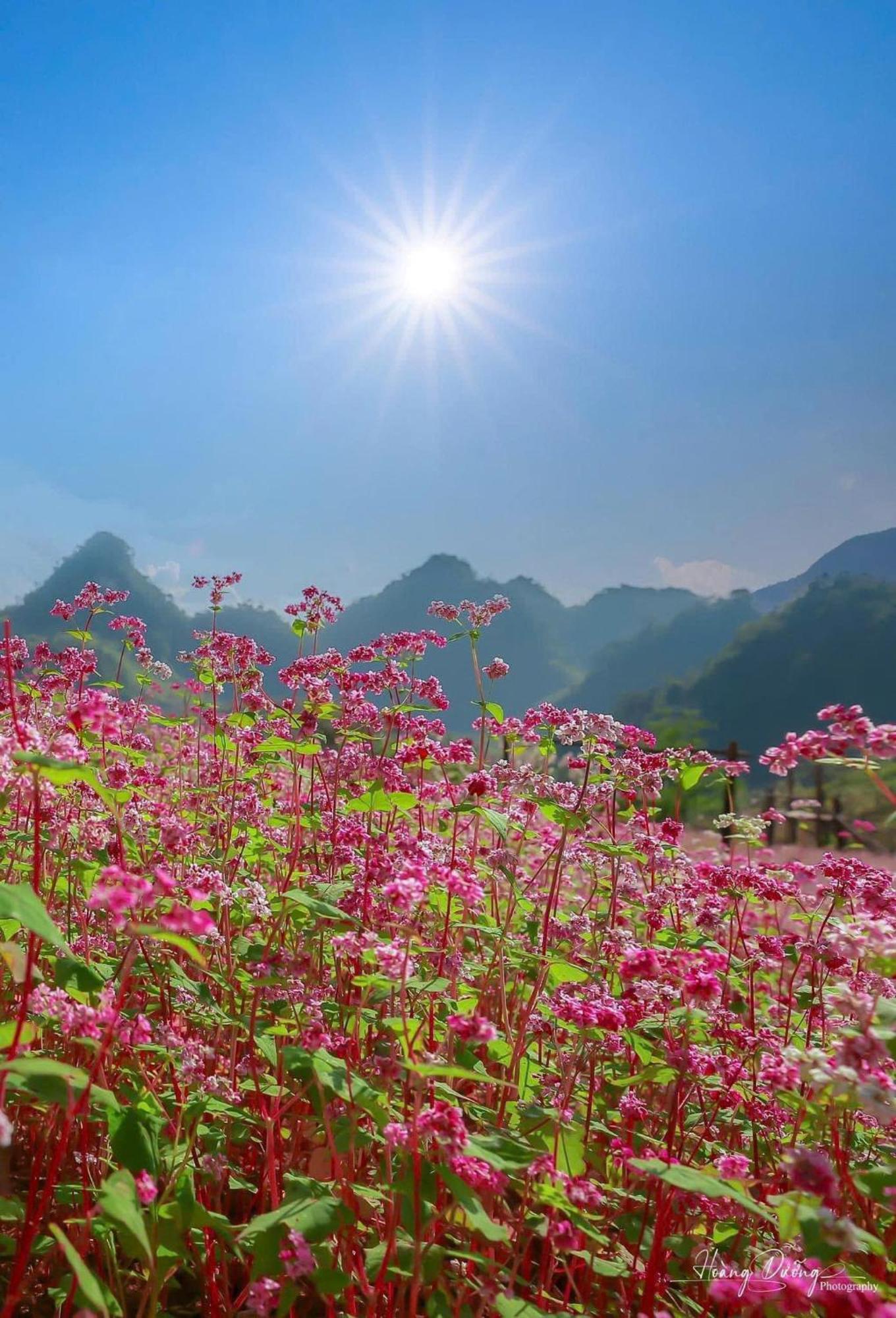 Thuy Anh Hotel Ha Giang Εξωτερικό φωτογραφία